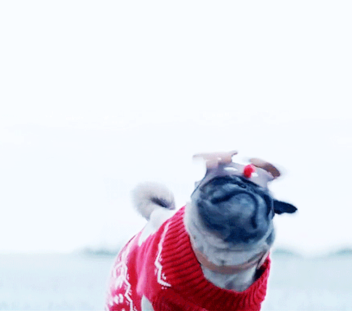 gif-your-blog